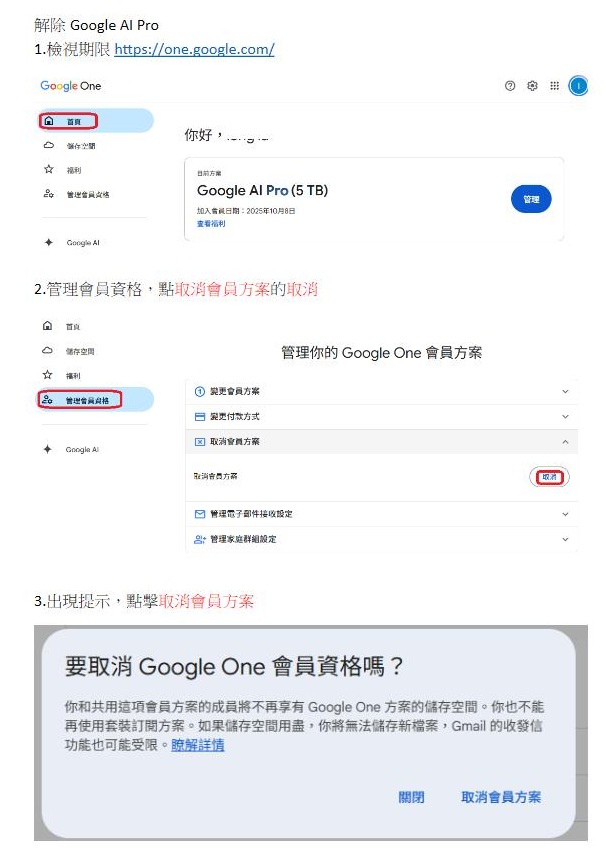 解除Google_AI_Pro